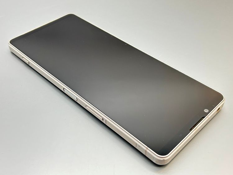 ���������SOG10 Xperia 1 V �ץ���ʥ���С� D549028-