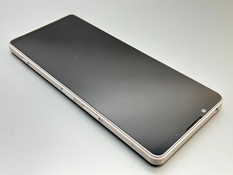 ���������SOG10 Xperia 1 V �ץ���ʥ���С� D511143-