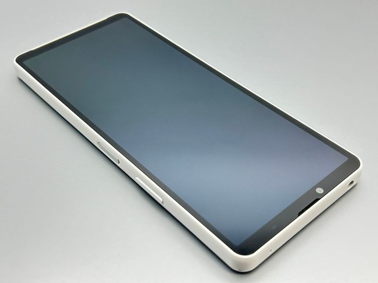 ��Ķ���ʡ�SOG11 Xperia 10 V �ۥ磻�� D785328-