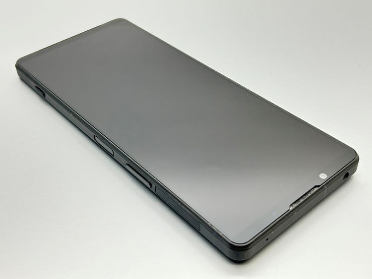 šSOG10 Xperia 1 V ֥å D203683-