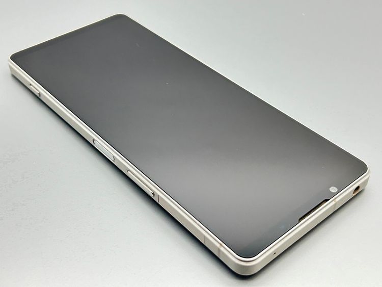 ��Ķ���ʡ�SOG10 Xperia 1 V �ץ���ʥ���С� D776787-