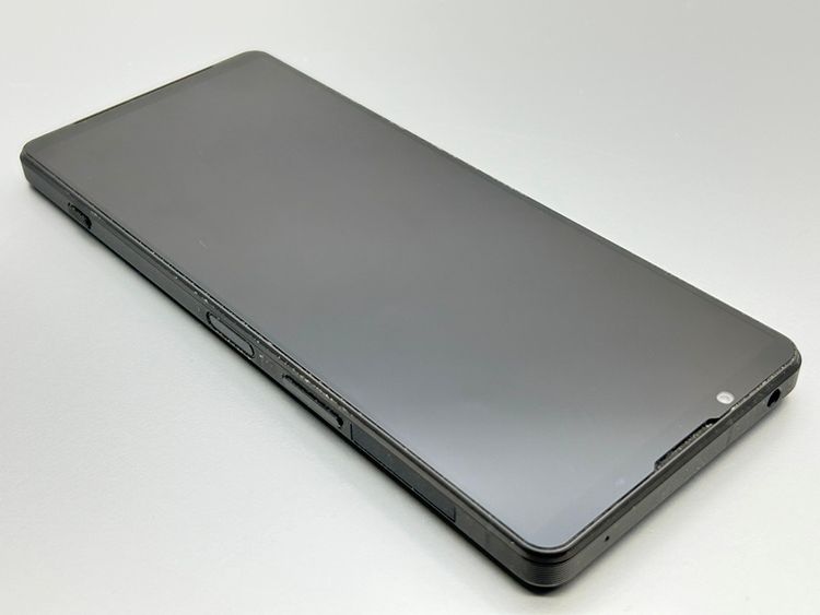 šSOG10 Xperia 1 V ֥å D204947-