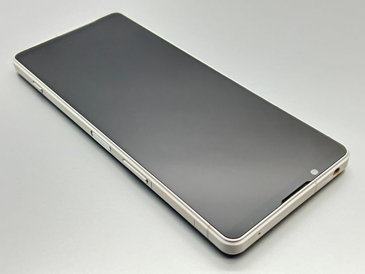 ��Ķ���ʡ�SOG10 Xperia 1 V �ץ���ʥ���С� D518627-