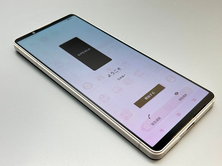 ���������SOG10 Xperia 1 V �ץ���ʥ���С� D549028-