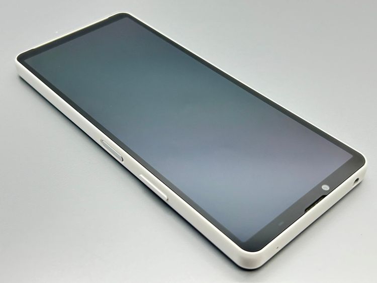 ��Ķ���ʡ�SOG11 Xperia 10 V �ۥ磻�� D581389-