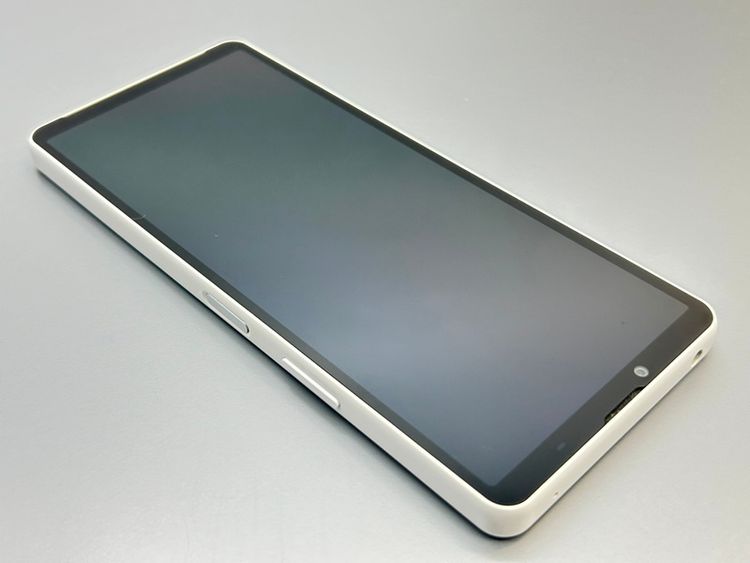 ��Ķ���ʡ�SOG11 Xperia 10 V �ۥ磻�� D161981-