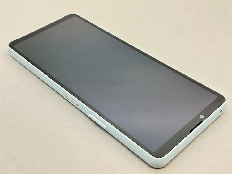 Ʊ͡SOG14 Xperia 10 VI ֥롼 172703A
