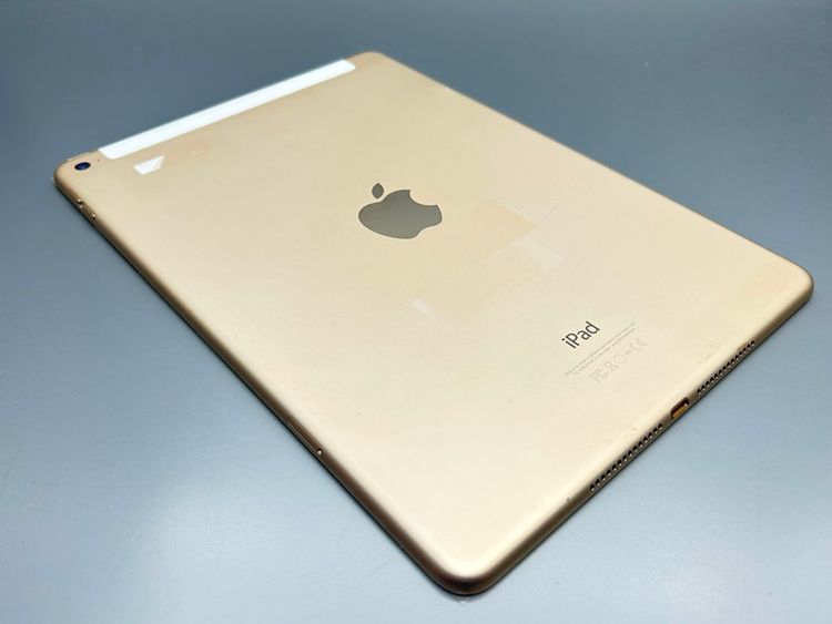 ���������iPad Air2(�裲����) Cellular 128GB ������� D038513-