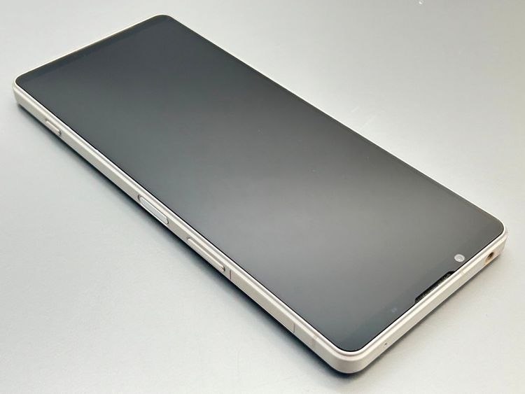 ��������š�SOG10 Xperia 1 V �ץ���ʥ���С� D533584-