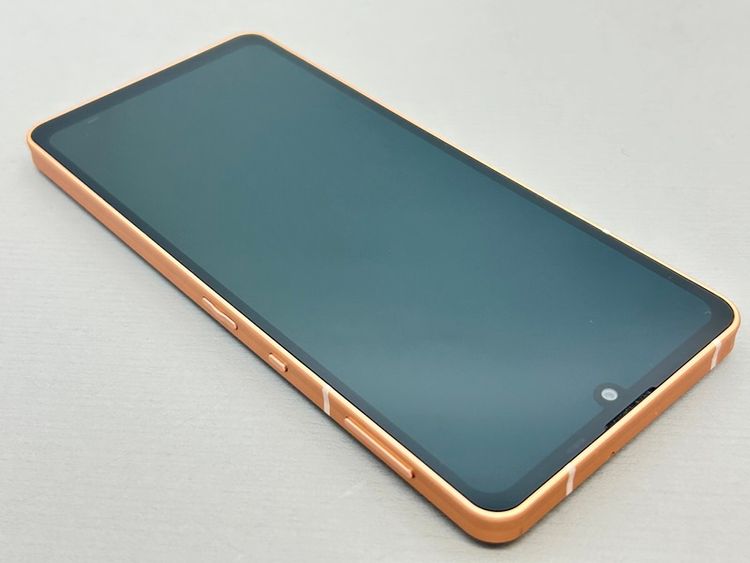 ĶʡSH-RM19s AQUOS sense6s 饤ȥåѡ 998051A