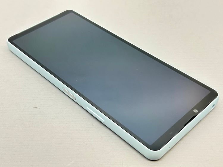 ĶʡSOG14 Xperia 10 VI ֥롼 198369A