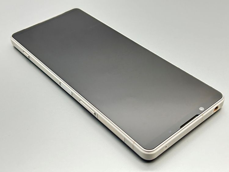 ���ʰ¡�SOG10 Xperia 1 V �ץ���ʥ���С� D536124-