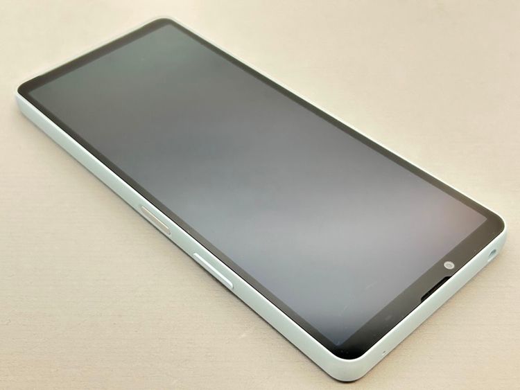šSOG14 Xperia 10 VI ֥롼 173529-