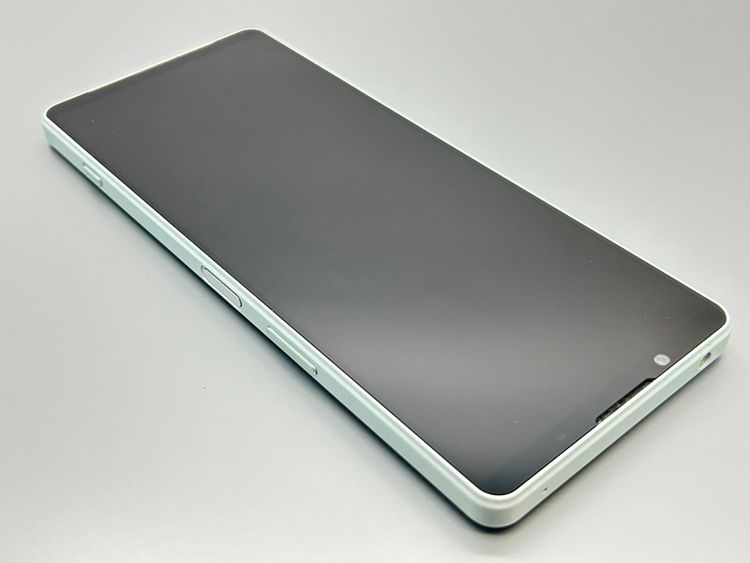 ʰ¡SOG06 Xperia 1 IV ۥ磻 D576544-