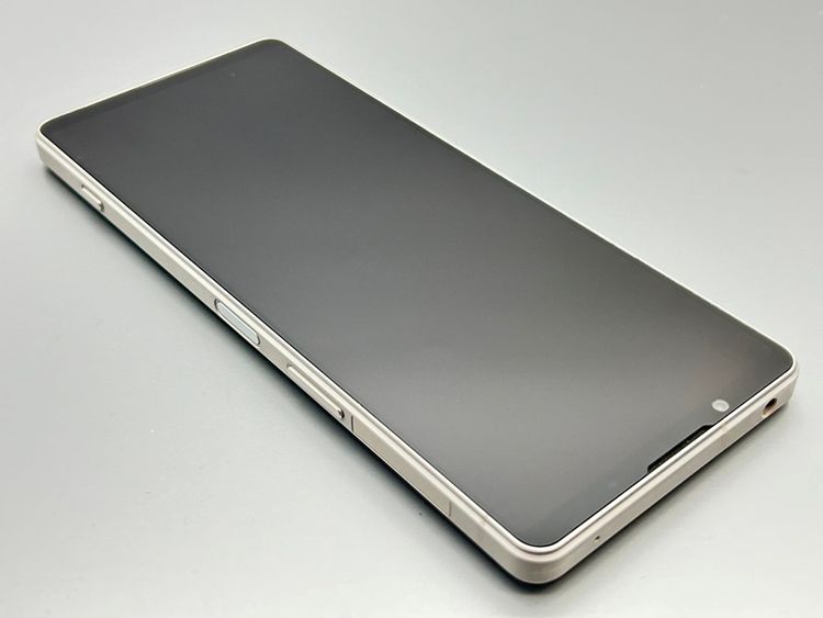 ��Ķ���ʡ�SOG10 Xperia 1 V �ץ���ʥ���С� D553343-