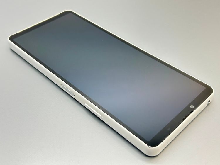 ��Ķ���ʡ�SOG11 Xperia 10 V �ۥ磻�� D367763-