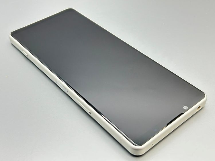 ��Ķ���ʡ�A204SO Xperia 5 IV �������ۥ磻�� D943504-