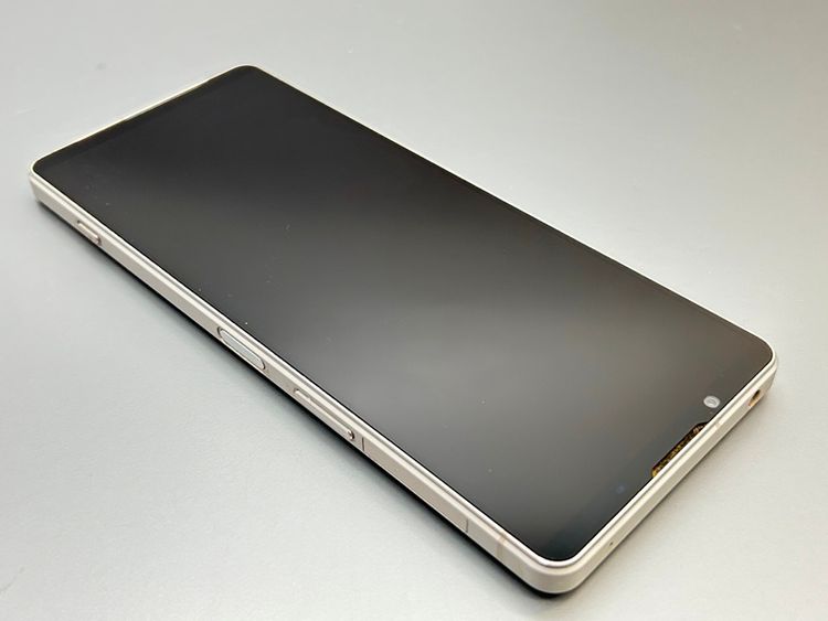 ��������š�SOG10 Xperia 1 V �ץ���ʥ���С� D774808-