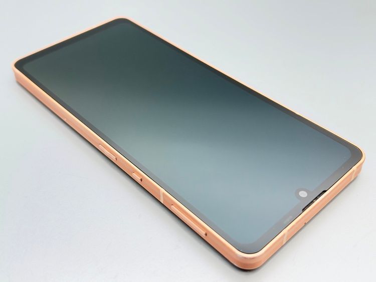 �����ʡ�SHG07 AQUOS sense6s �饤�ȥ��åѡ� D842867-