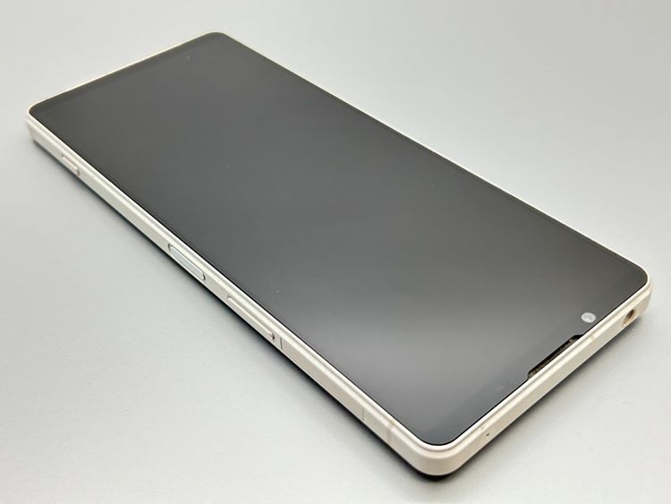 SOG10 Xperia 1 V ץʥС D550661-