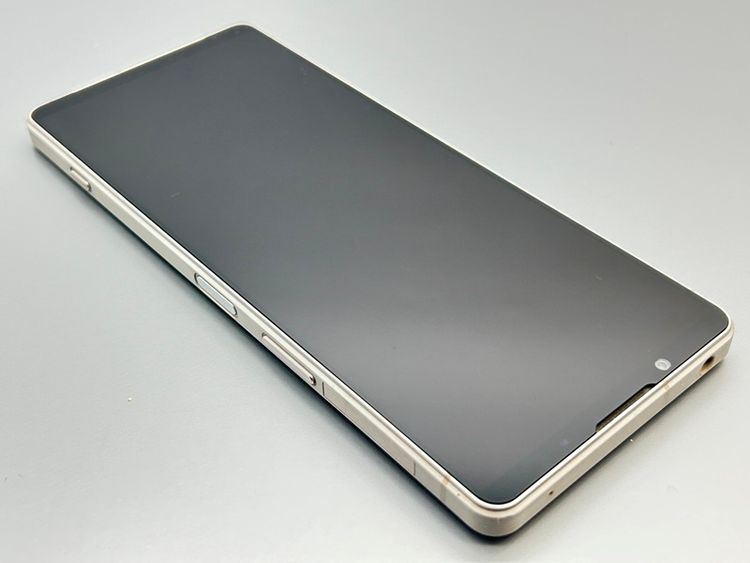 ��������š�SOG10 Xperia 1 V �ץ���ʥ���С� D523528-