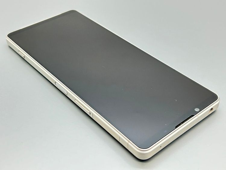 ★訳あり★SOG10 Xperia 1 V プラチナシルバー D512729-