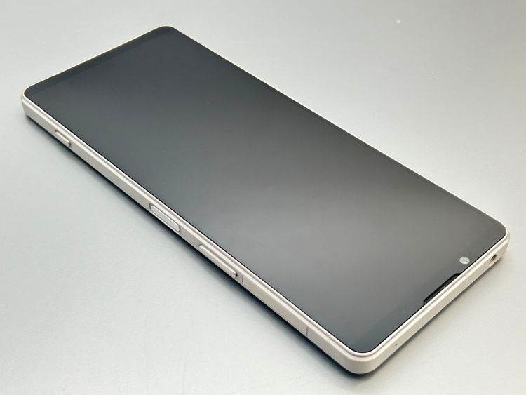 ��������š�SOG10 Xperia 1 V �ץ���ʥ���С� D564308-