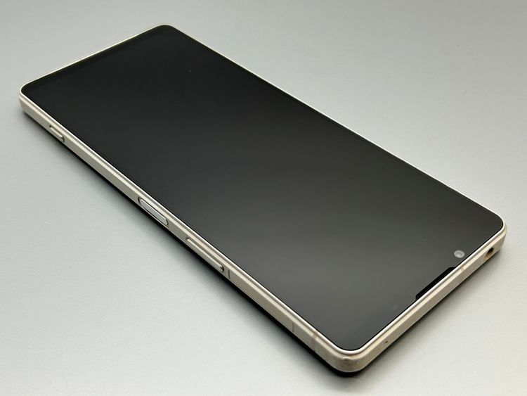 ��������š�SOG10 Xperia 1 V �ץ���ʥ���С� D558441-