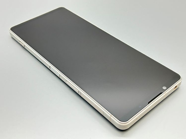 ʡSOG10 Xperia 1 V ץʥС D884268-