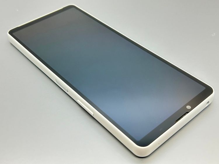 ʡSOG11 Xperia 10 V ۥ磻 D550145-