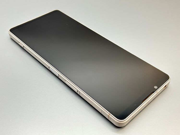 ���ʰ¡�SOG10 Xperia 1 V �ץ���ʥ���С� D530101-