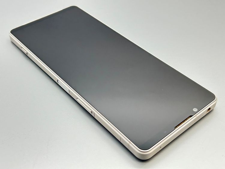 ��Ķ���ʡ�SOG10 Xperia 1 V �ץ���ʥ���С� D513008-