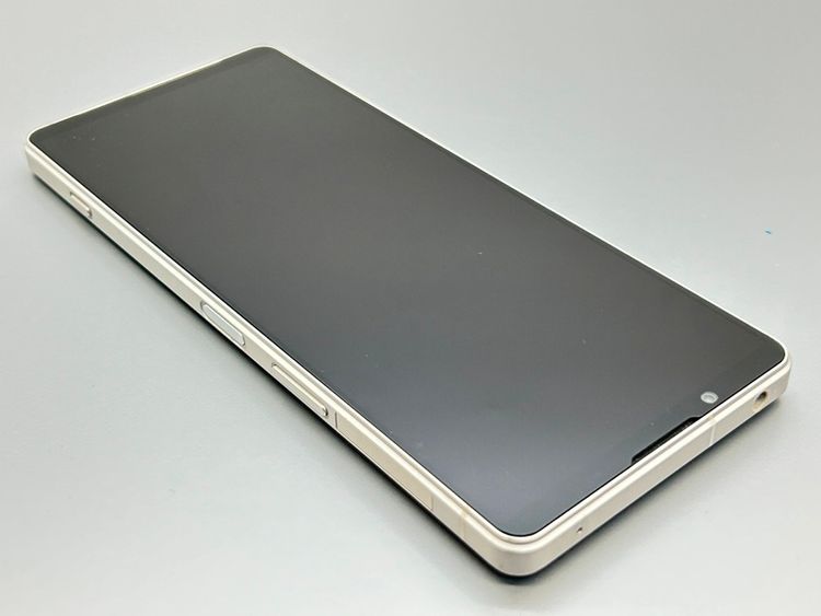 ★美品★SOG10 Xperia 1 V プラチナシルバー D529962-