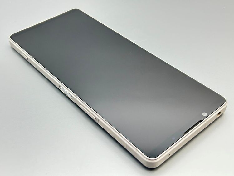 �����ʡ�SOG10 Xperia 1 V �ץ���ʥ���С� D510947-