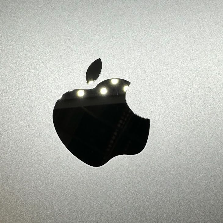 ڥХåƥ꡼88%iPadmini5WiFi256GBڡ쥤