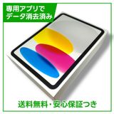 ڥХåƥ꡼100%iPad10WiFi256GBС