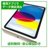 �ڥХåƥ꡼100���iPad��11��Wi��Fi��128GB���֥롼
