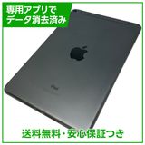 【バッテリー87%】iPadmini 5 Wi−Fi+Cellular 256GB スペースグレイ