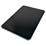 �ڥХåƥ꡼100%��iPad��11��Wi��Fi��128GB���֥롼