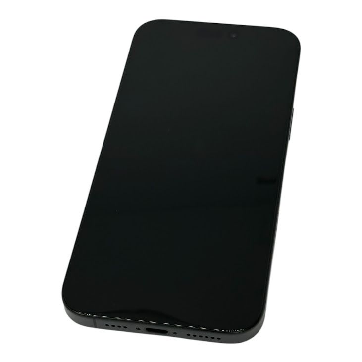 ڥХåƥ꡼100%iPhone16ProMax256GB֥å˥ࡡau