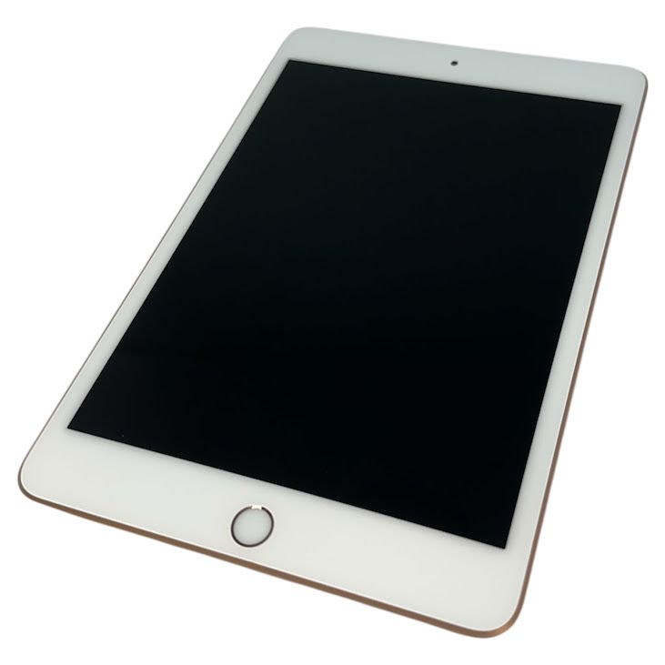 �ڥХåƥ꡼100%��iPadmini��5��Wi��Fi��Cellular��256GB���������