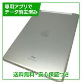 �ڥХåƥ꡼100%��iPad��9��Wi��Fi��Cellular��64GB������С�