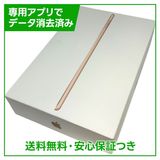 �ڥХåƥ꡼100%��iPadmini��5��Wi��Fi��Cellular��256GB���������