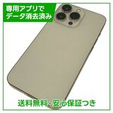 iPhone��13Pro��128GB��������ɡ�SIM�ե꡼�����եȥХ���