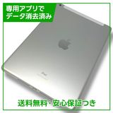 iPad7WiFiCellular32GBСSIMե꡼