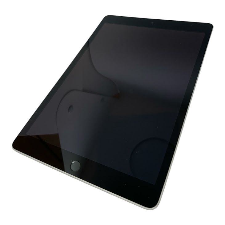 �ڥХåƥ꡼100%��iPad��9��Wi��Fi��Cellular��64GB������С���SIM�ե꡼