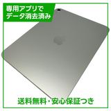 �ڥХåƥ꡼100%��iPad��11��Wi��Fi��128GB������С�