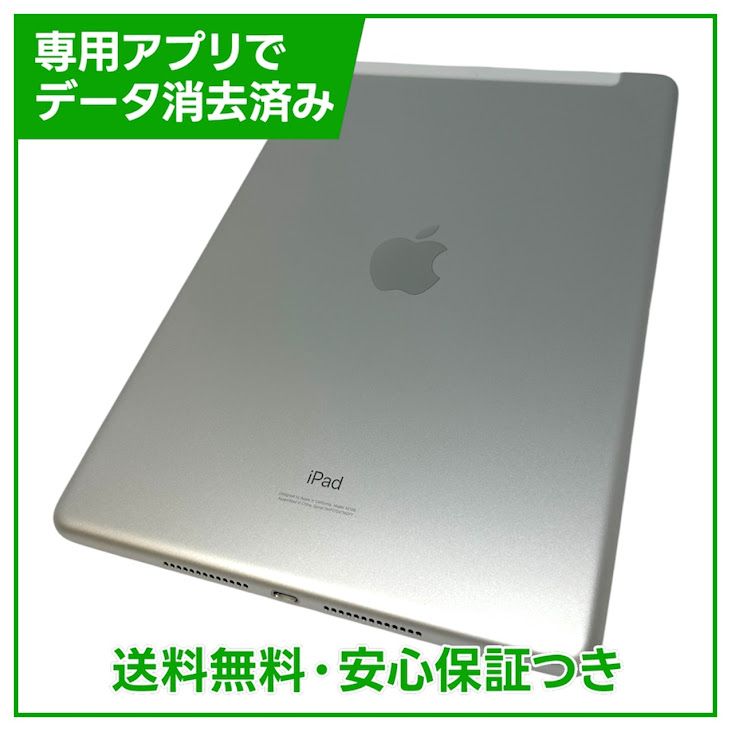 iPad��7��Wi��Fi��Cellular��128GB������С���SIM�ե꡼