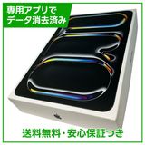 �ڥХåƥ꡼100%��iPadPro��11�������6�����M5�ˡ�Wi��Fi��256GB���֥�å�