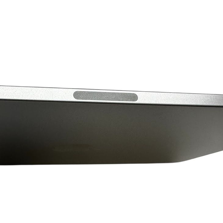 �ڥХåƥ꡼100%��iPadPro��11�������2���塡Wi��Fi��256GB�����ڡ������쥤